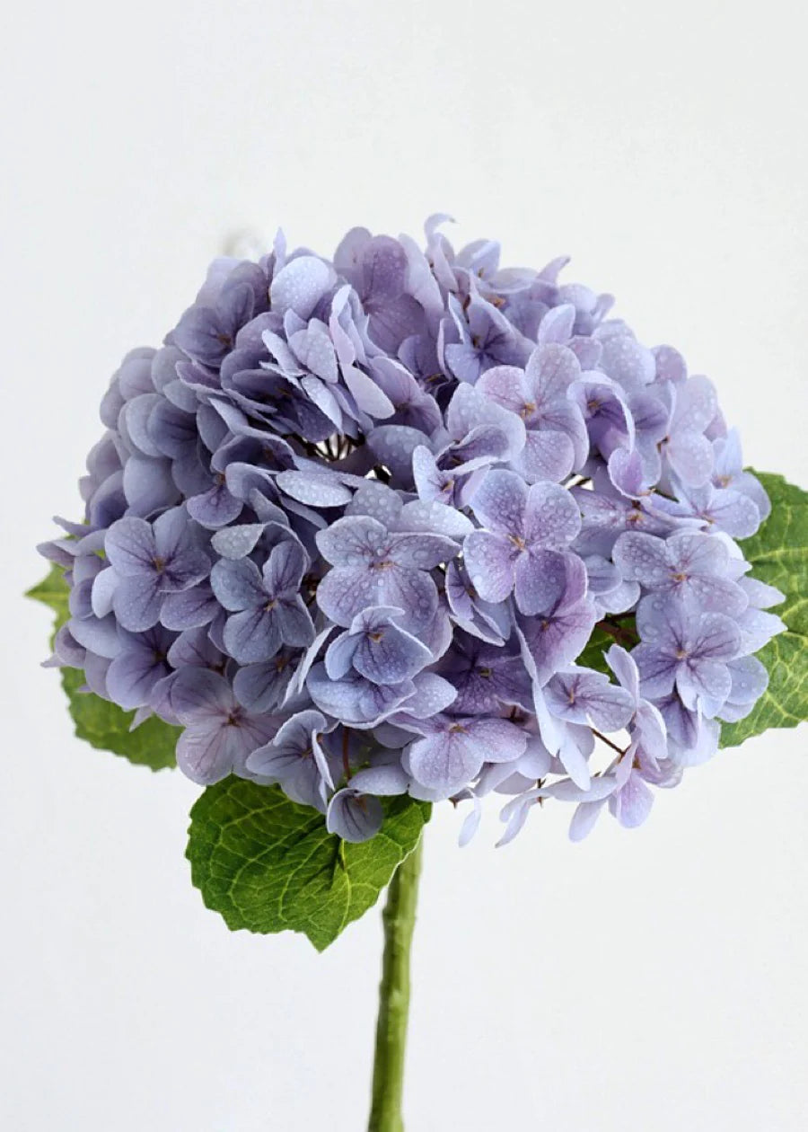 Transform Your Spaces with Petalport's 3D Real Touch Hydrangeas: A Journey of Elegance