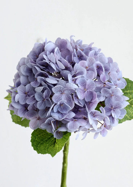 Transform Your Spaces with Petalport's 3D Real Touch Hydrangeas: A Journey of Elegance